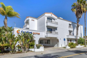 Гостиница Comfort Suites San Clemente Beach  Сан Клементе